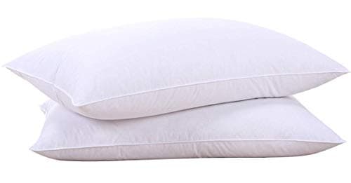 Puredown Goose Feathers and Down Hotel Collection Pillows - Standard