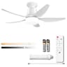 Tandanic 30-Inch Heavy-Duty Copper Motor Socket Ceiling Fan with Light