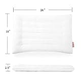 Hombys Ultra Thin Flat 2.5-Inch 3D Microfiber Machine Washable Pillow