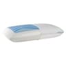 Sealy Dreamlife Solid Memory Foam King Pillow With SealyChill Gel Layer