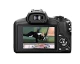 Canon EOS R100 APS-C Mirrorless Camera with RF-S18-45mm IS STM Starter Lens Kit