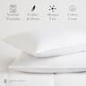 The Ritz-Carlton Dual-Chamber Down and Feather Pillow - King Size Fit