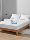 Bedecor Affordable Cotton Terry Waterproof Queen Size Mattress Protector