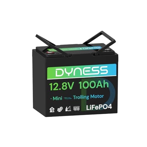 Dyness 12V 100Ah Mini LiFePO4 Deep Cycle Marine Battery With Bluetooth Group 24