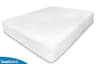 SureGuard Zippered Waterproof Mattress Encasement for 6-to-8-Inch Beds