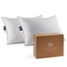 Pacific Coast Goose Feather and Down Bed Pillows - Standard, Set of 2