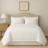 eBeddy Linens 800-Thread Count Egyptian Cotton Duvet Cover, 120" x 98"