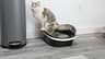 Arm & Hammer Large Lift-to-Sift Cat Litter Box with Antimicrobial Protection
