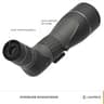 Leupold SX-2 Alpine HD Gen 2 Angled Spotting Scope for Outdoor Enthusiasts, 20-60x80