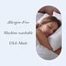 The Ritz-Carlton Feather and Down Blend Pillow - Queen Size Core Support