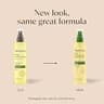 Aveeno Daily Moisturizing Body Oil Mist with Oat & Jojoba Oil for Dry Sensitive Skin