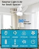 Tandanic 30-Inch Heavy-Duty Copper Motor Socket Ceiling Fan with Light