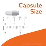NOW Supplements Kidney Cleanse with Uva Ursi and Parsley Seed, 90 Veg Capsules