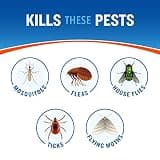 Cutter Backyard Bug Control Spray Concentrate Hose-End Formula, 2-Pack