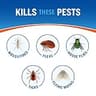 Cutter Backyard Bug Control Spray Concentrate Hose-End Formula, 2-Pack