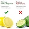 BergaMet Citrus Bergamot 170:1 Extract, 1200mg with 80% Total Polyphenols