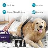 High Velocity Professional Dog Grooming Force Hair Blower and Pet Dryer