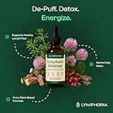 LYMPHORIA Lymphatic Drainage Drops, Targeted De-Puffing Tincture, Alcohol-Free, 2 fl oz