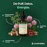 LYMPHORIA Lymphatic Drainage Drops, Targeted De-Puffing Tincture, Alcohol-Free, 2 fl oz