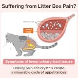 Doctor By UT Care Cat UTI & Kidney Support Lickable Urinary Supplement
