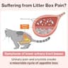 Doctor By UT Care Cat UTI & Kidney Support Lickable Urinary Supplement
