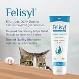Felisyl L-Lysine Salmon Flavored Gel Supplement for Immune and Eye Health, 5oz