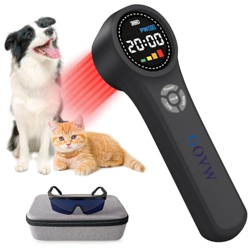 section preview