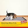 Glad for Pets Peanut Butter Scented Potty Training Attractant Spray for Dogs, 8 oz