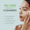 NOVEHA 60-Count Tea Tree Oil Eyelid & Lash Wipes with Soothing Green Tea