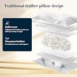 Pacific Coast Goose Feather and Down Bed Pillows - Standard, Set of 2