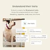 Basepaws Dog DNA Testing Kit - Mixed Breed Heritage & Next-Generation Sequencing