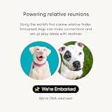 Embark Breed & Health Dog DNA Test - Comprehensive 270+ Health Condition Screening