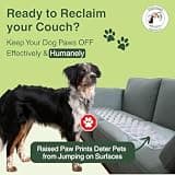 PEACHTREE PET Clear Humane Physical Scat Mat for Love Seats and Sofas