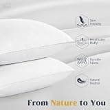 Puredown Goose Feathers and Down Hotel Collection Pillows - Standard