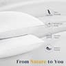 Puredown Goose Feathers and Down Hotel Collection Pillows - Standard