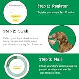 ORIVET GenoPet Dog DNA Test Kit - Breed Identification & Personalized Life Plan Care