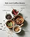SHARDOR Electric 70g Large Capacity Coffee and Spice Grinder with Timer