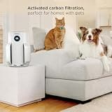 Shark NeverChange HP153 True HEPA Air Purifier with 5-Year Filter System