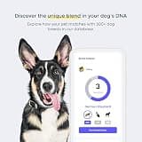 DNA My Dog Essential + Health DNA Test Kit - Breed Identification & Trait Profile
