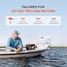 Litime 12V 100Ah LiFePO4 Trolling Motor Deep Cycle Battery Group 31, 2-Pack Set
