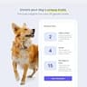 DNA My Dog Essential + Health DNA Test Kit - Breed Identification & Trait Profile