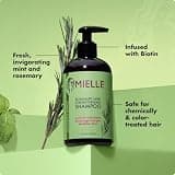 Mielle Organics Rosemary Mint Strengthening Biotin Shampoo (12 fl oz)