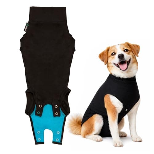 The 7 Best Dog Recovery Suits After Neutering of 2026