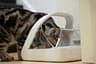 Sure Petcare SureFeed Selective Microchip Pet Feeder with 13.5 oz Bowl