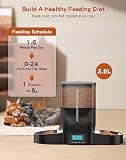 HoneyGuaridan 3.5L Dual-Bowl Automatic Cat Feeder with Stainless Bowls