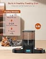 HoneyGuaridan 3.5L Dual-Bowl Automatic Cat Feeder with Stainless Bowls