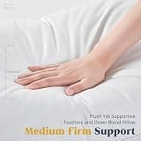 Puredown Goose Feathers and Down Hotel Collection Pillows - Standard