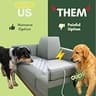 PEACHTREE PET Clear Humane Physical Scat Mat for Love Seats and Sofas