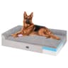 Veehoo XXL Orthopedic Dog Bed for Large Senior Dogs with Thick Memory Foam Base