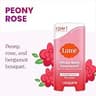 Lume Whole Body Deodorant Cream Stick for Underarms and Private Parts